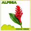 Logo de CONJUNTO RESIDENCIAL ALPINIA